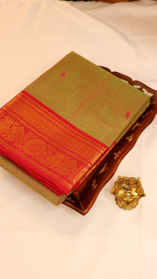 Traditional Kanchi Cotton -  Light Sage Green Shot-Tone with Rani Pink & Gold Zari  - TKCEQ051
