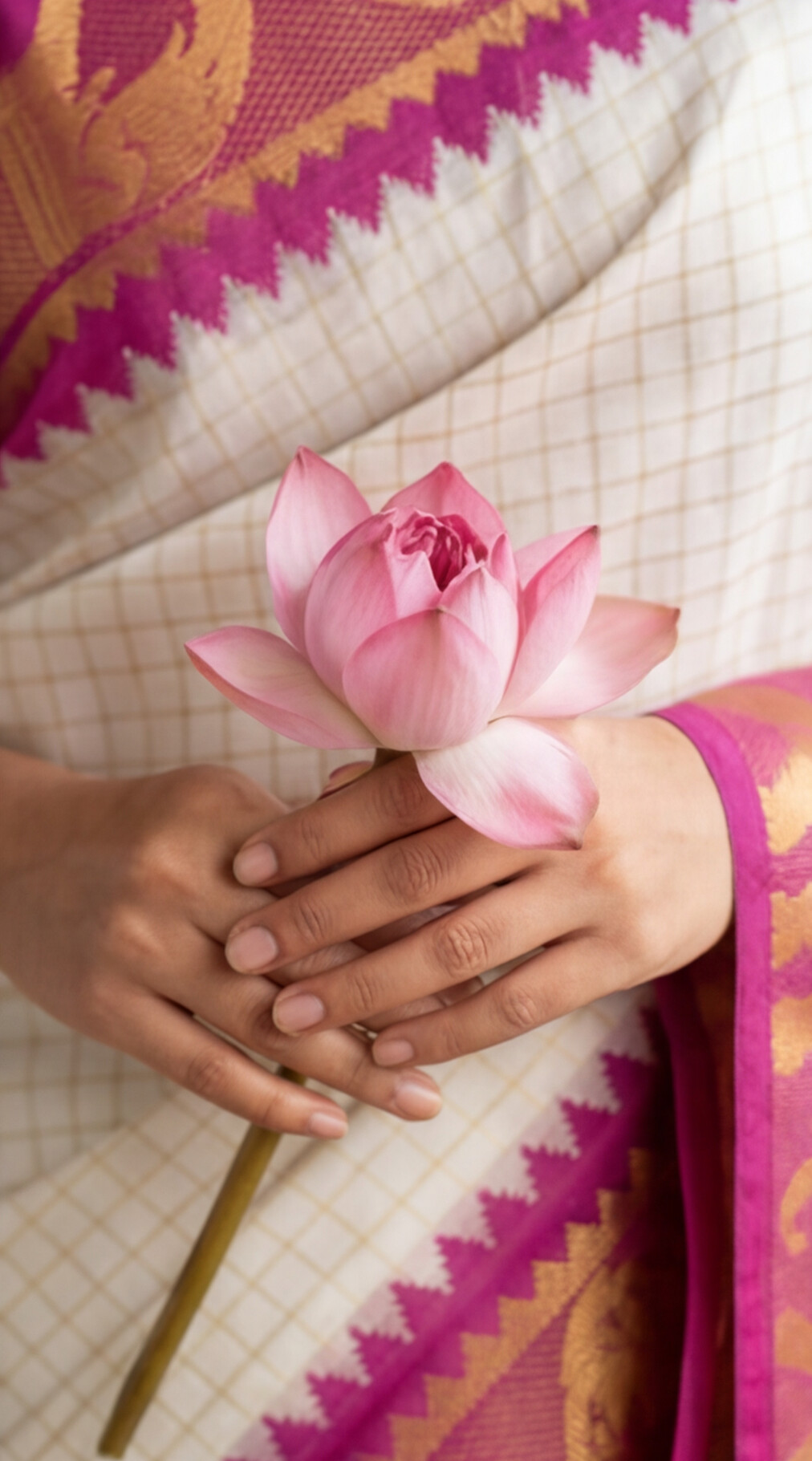 Silk Checked Saree - White with Magenta