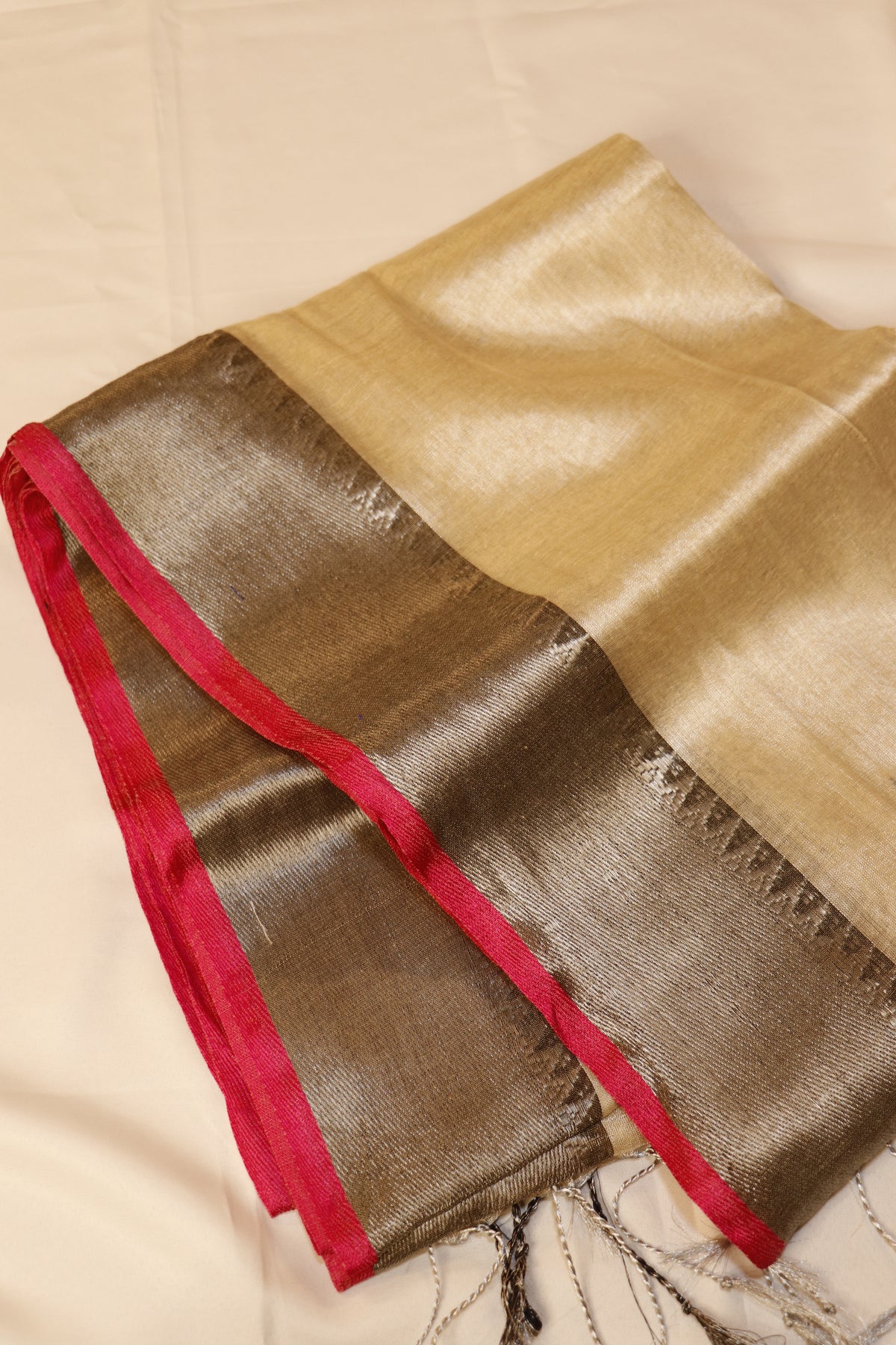 Raga Tissue Sarees - Luminous Champagne Gold with Metallic Silver- RTEQ001