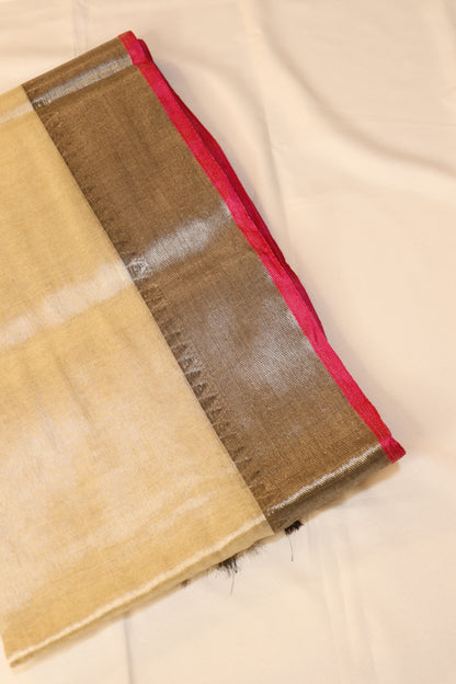Raga Tissue Sarees - Luminous Champagne Gold with Metallic Silver- RTEQ001
