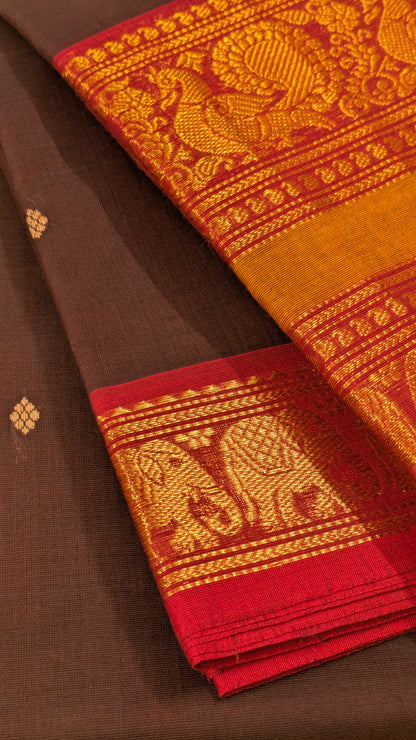 Traditional Kanchi Cotton - Rich Coffee Brown with Festive Red & Gold Zari - TKCEQ014