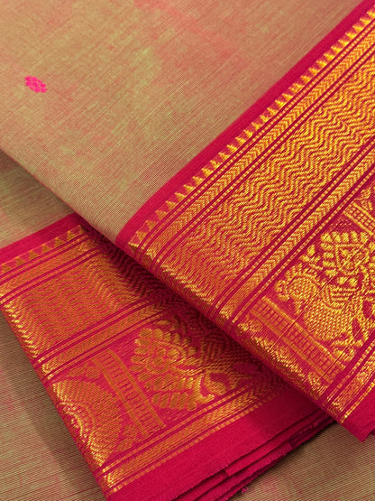 Traditional Kanchi Cotton -  Light Sage Green Shot-Tone with Rani Pink & Gold Zari  - TKCEQ051
