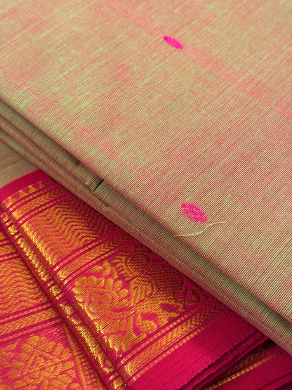 Traditional Kanchi Cotton -  Light Sage Green Shot-Tone with Rani Pink & Gold Zari  - TKCEQ051