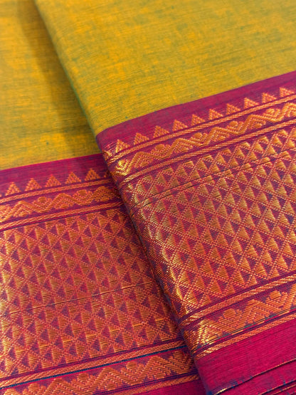 Traditional Kanchi Cotton - Olive Lime Green with Magenta Purple & Gold Zari - TKCEQ030